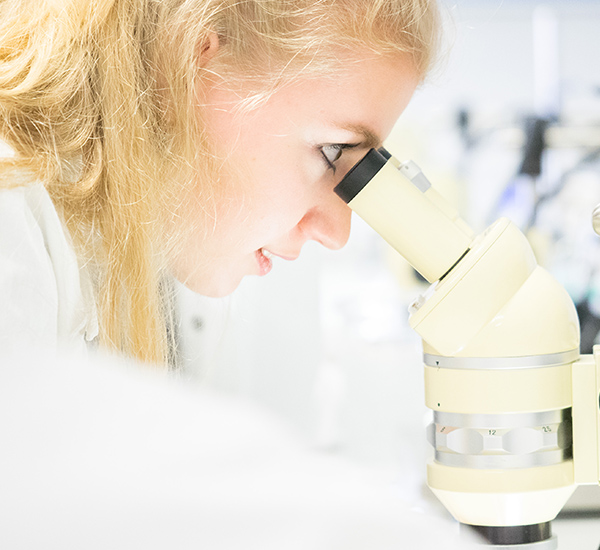 Philipps-Universität Marburg: Behalte den Durchblick