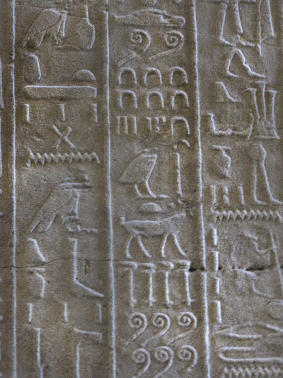 die auslandsreise - Arbeiten, Studieren und Lernen im Ausland. Das unabhängige Nachschlagewerk. Jährlich seit 2003.: Lebenslauf &Co?