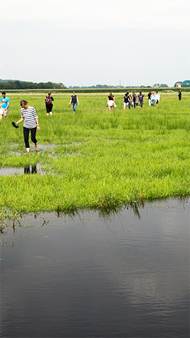 Darum bei uns: Hochschule Geisenheim University
