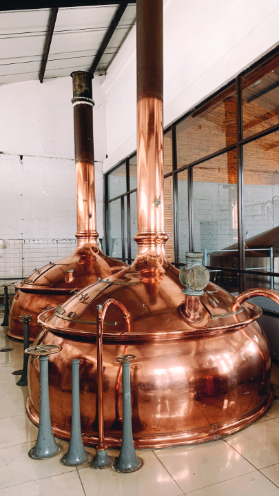 Brauer:in und Mälzer:in