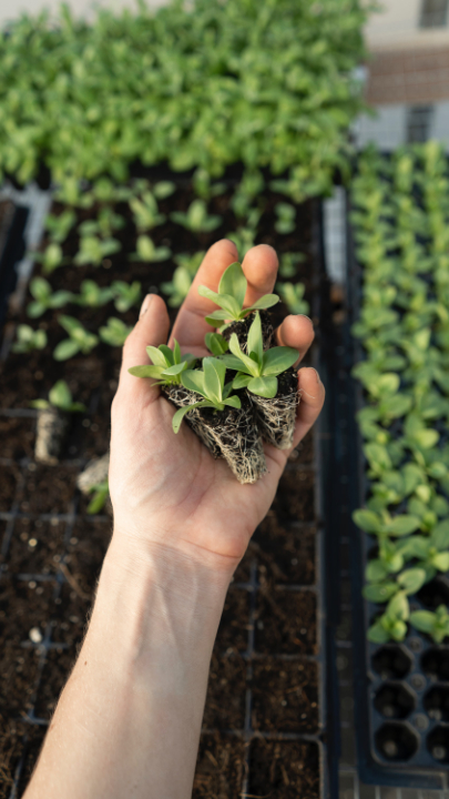 Fachkraft für Agrarservice