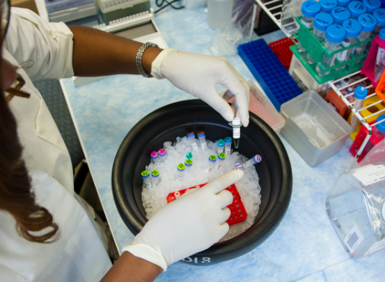 Eine Chemielaborantin bereitet Proben für einen Versuch vor.