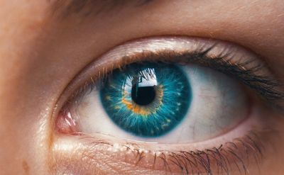 Arbeit als Ocularist:in