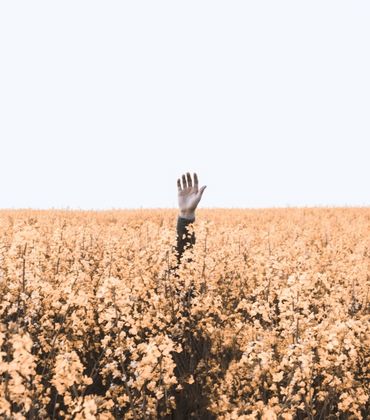 Den richtigen Ausbildungsplatz finden