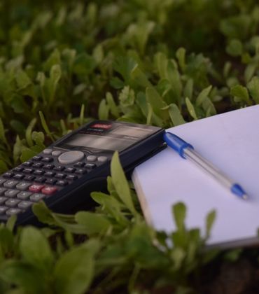 Nachhaltige BWL-Studiengänge