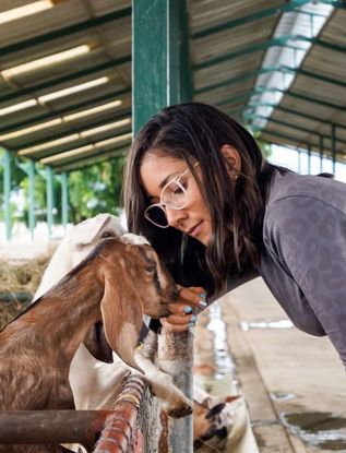 Studium mit Tieren, Tierstudium, Tiermedizin