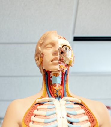 Top 10: Berufe rund um den Körper