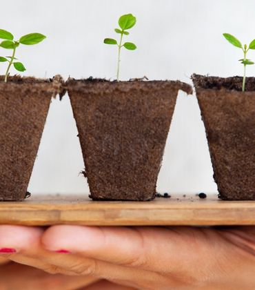 Studium Umwelt und Nachhaltigkeit