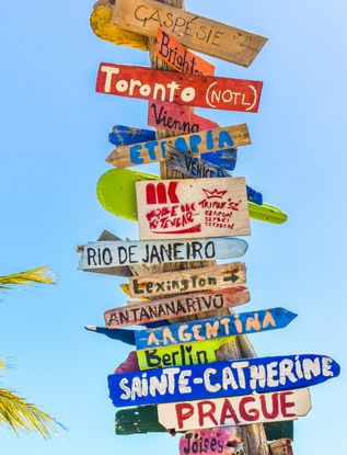 Umfrage zu Freiwilligenarbeit und Klimawandel - so wollen sich Freiwillige engagieren