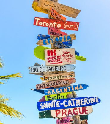 Umfrage zu Freiwilligenarbeit und Nachhaltigkeit