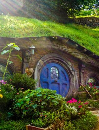 Work and Travel Neuseeland