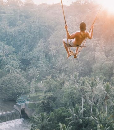 Jobs fürs Dschungelcamp