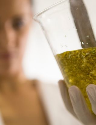 Naturwissenschaften studieren