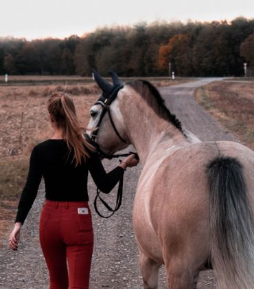 Farm- und Rancharbeit