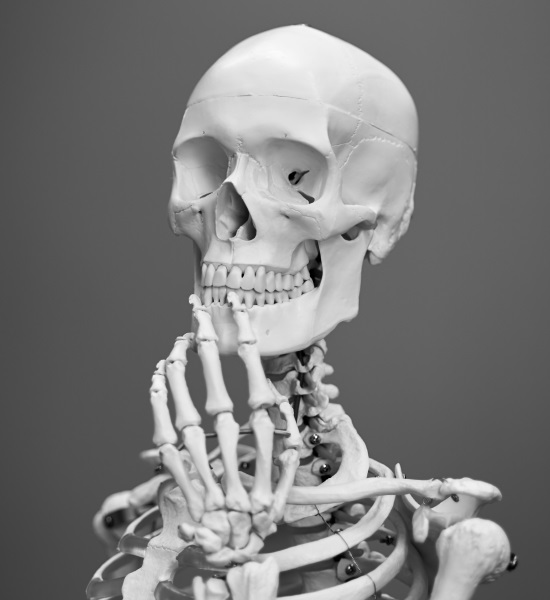 Die besten Abistreiche