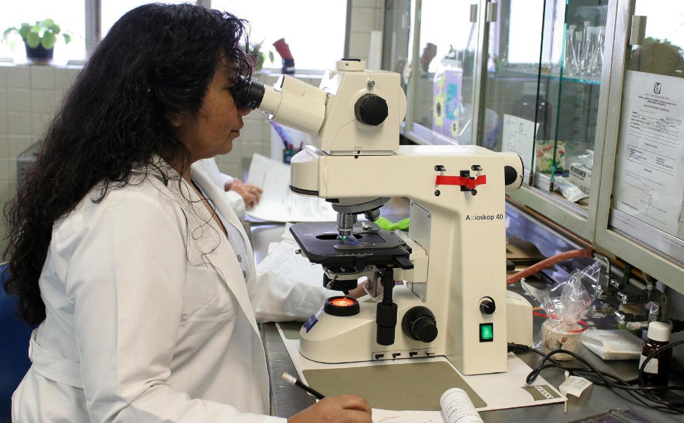 Das Pharmazie-Studium qualifiziert dich für den Beruf des Apothekers.