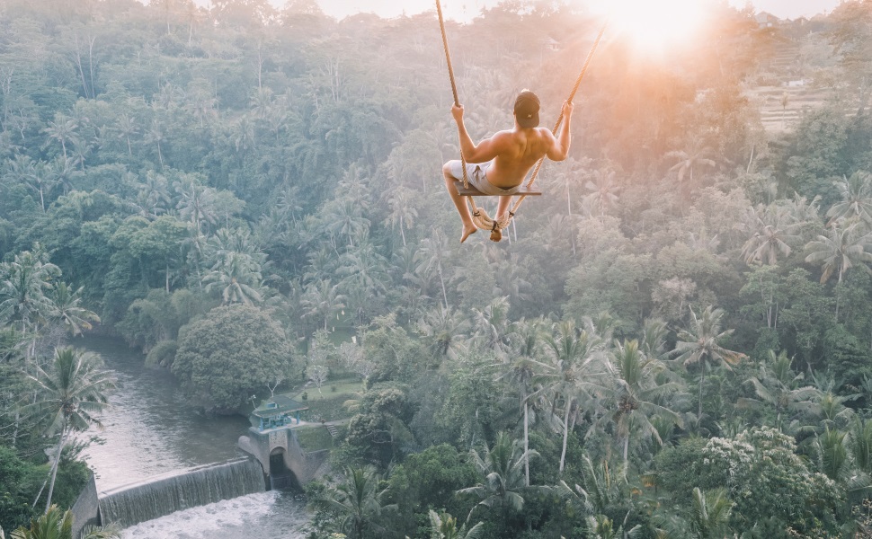 Ideale Berufe fürs Dschungelcamp