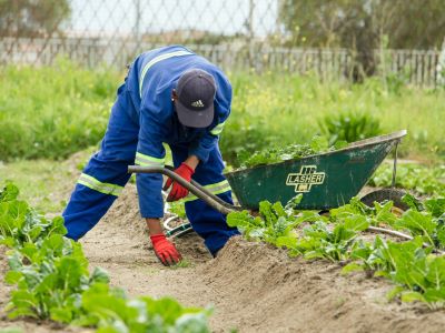Fachkraft für Agrarservice