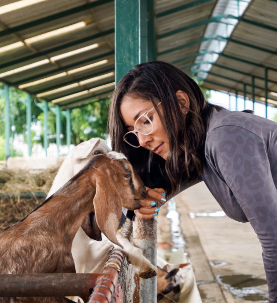 Berufe mit Tieren - Tierarzt oder Tierpfleger