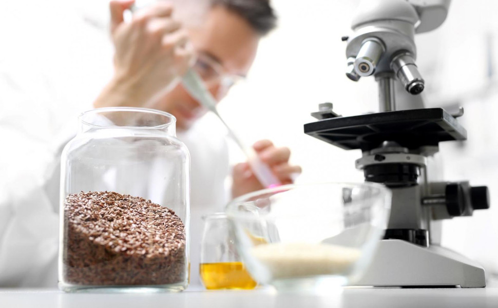 Berufe rund um Lebensmittel