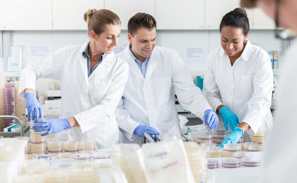 Ökotrophologen untersuchen die Inhaltsstoffe von Lebensmitteln.