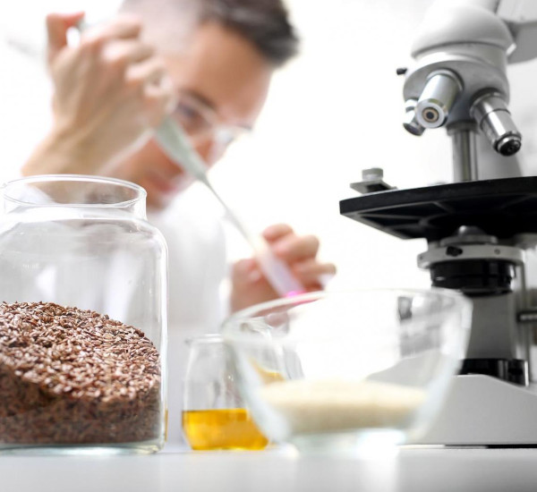 Berufe rund um Lebensmittel