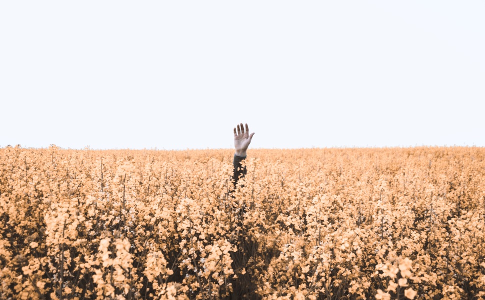 Den richtigen Ausbildungsplatz finden