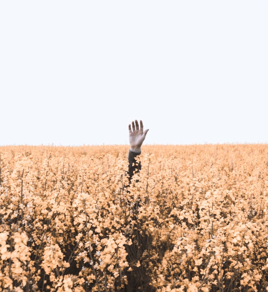 Den richtigen Ausbildungsplatz finden