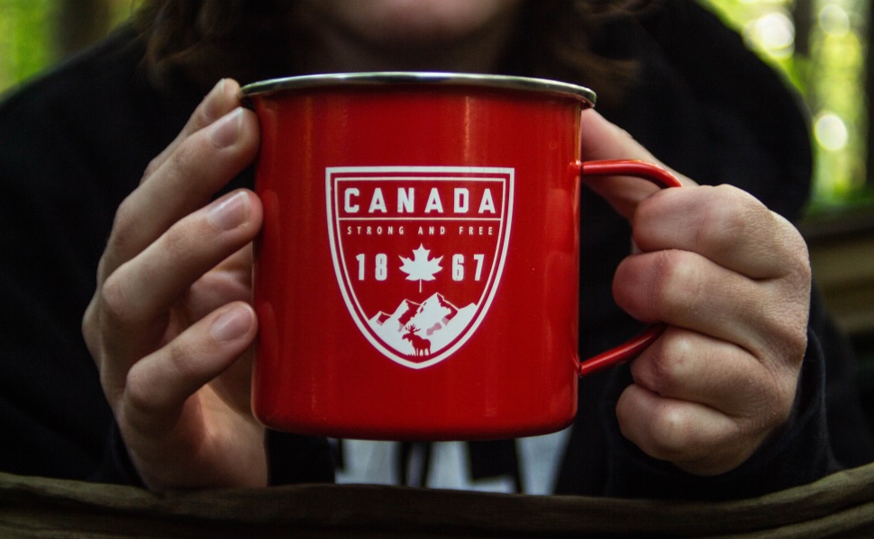 Dual studieren Ausland