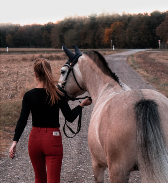 Farm- und Rancharbeit: Natur pur und Tierspaß in einem