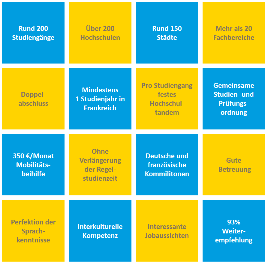 Deutsch-Französische Hochschule: Gute Gründe für ein DFH-Studium