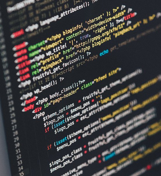 IT-Ausbildung: Deine Karriere in der IT-Branche