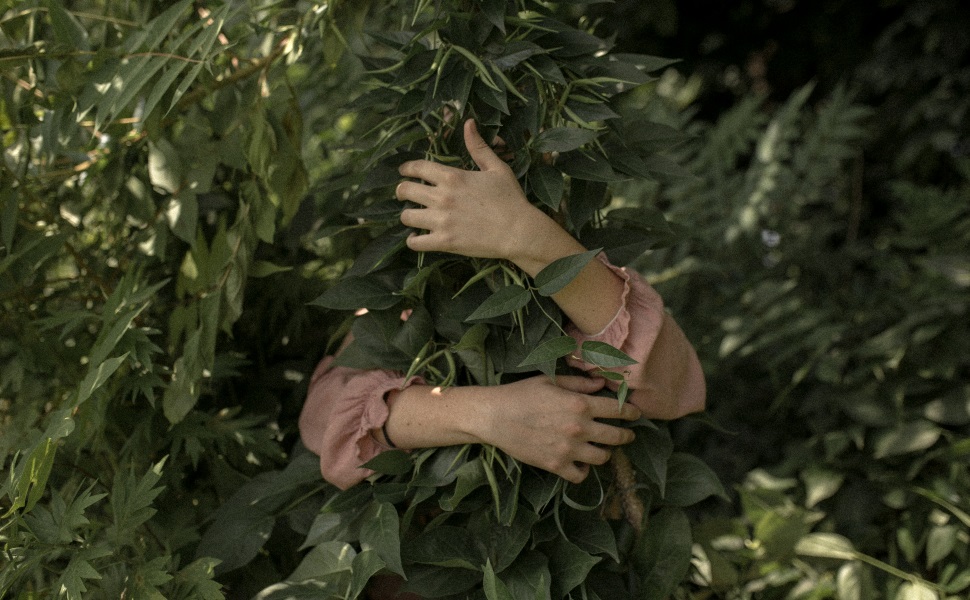 Nachhaltigkeit Schule Uni 