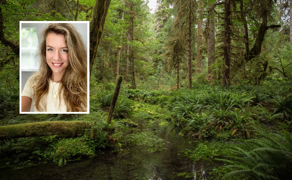 Umweltschutz, Naturschutz, Rainforest Alliance