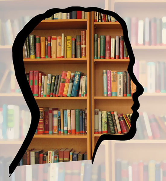 Schlaukopf.de - Die Lernplattform im Check