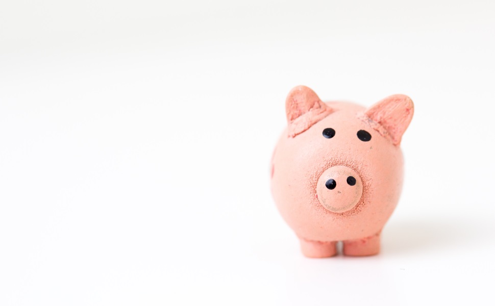 Bafög, Studienkredit, Nebenjob und andere Quellen zur Studienfinanzierung