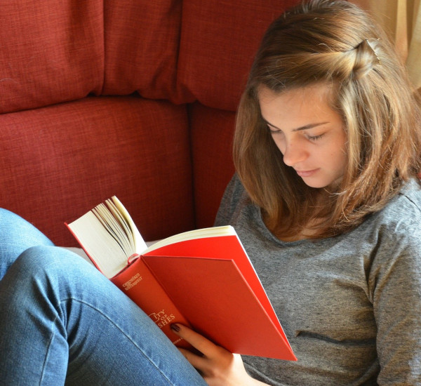 Studium - So funktioniert's