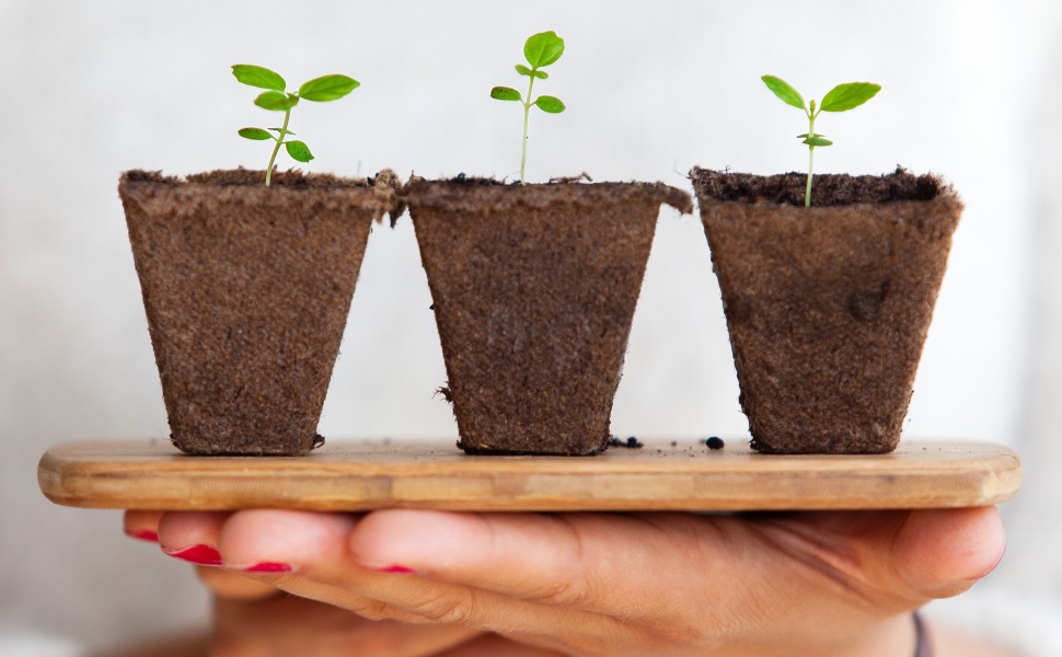 Umwelt Nachhaltigkeit Studium