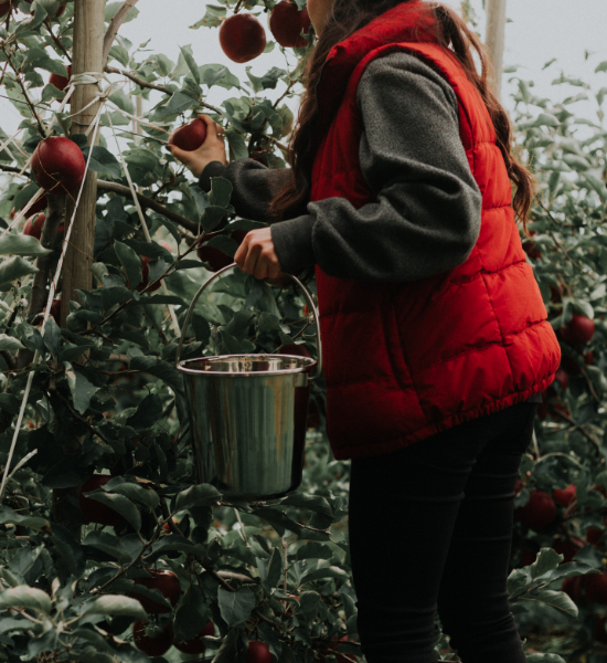 Work and Travel: Erst die Arbeit, dann das Vergnügen